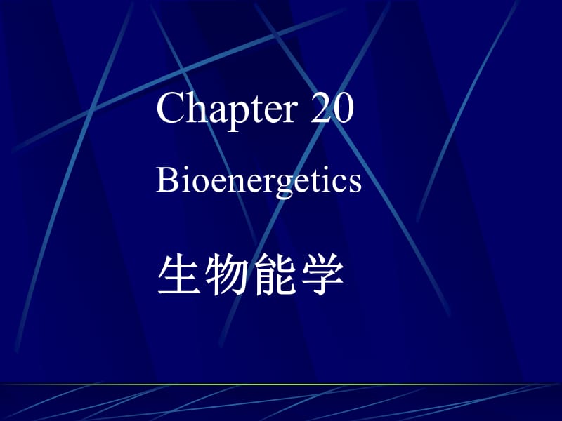 深圳大学生物化学下册生物能学.ppt_第1页