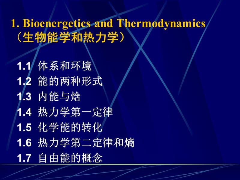 深圳大学生物化学下册生物能学.ppt_第3页