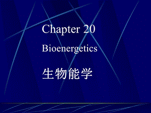 深圳大学生物化学下册生物能学.ppt