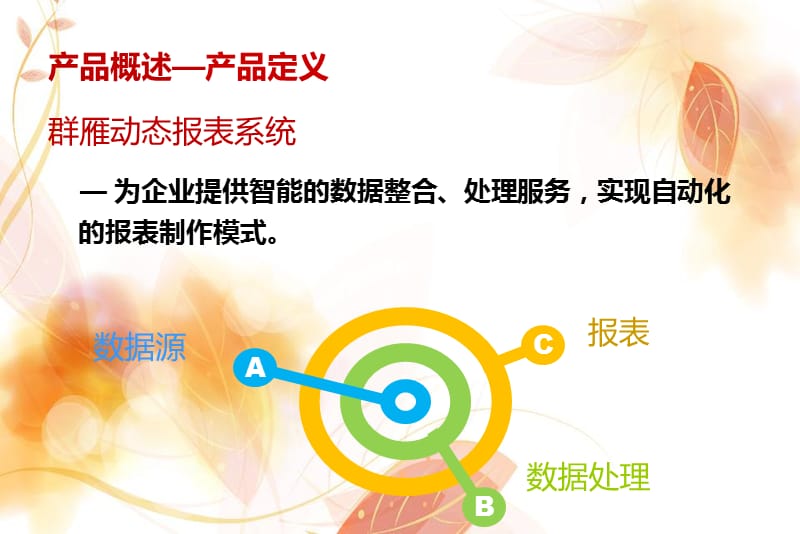 群雁动态数据报表系统白皮书2.0.ppt_第2页