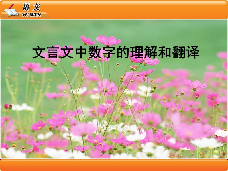 文言文中数字的理解和翻译.ppt_第1页