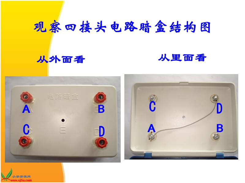 四年级下册科学第一章第七课.ppt_第3页