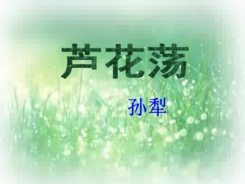 《芦花荡》公开课课件.ppt_第2页