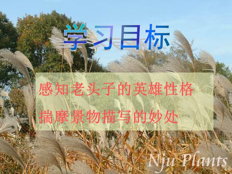 《芦花荡》公开课课件.ppt_第3页