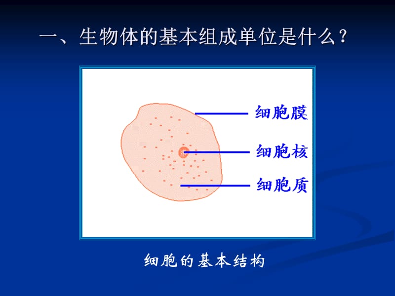 生物体的基本组成单位是什么.ppt_第1页