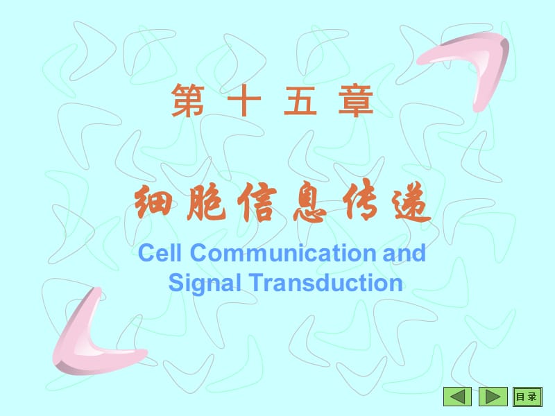 沈阳药科大学生物化学课件——第15章细胞信息转导.ppt_第1页