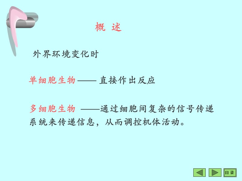 沈阳药科大学生物化学课件——第15章细胞信息转导.ppt_第2页