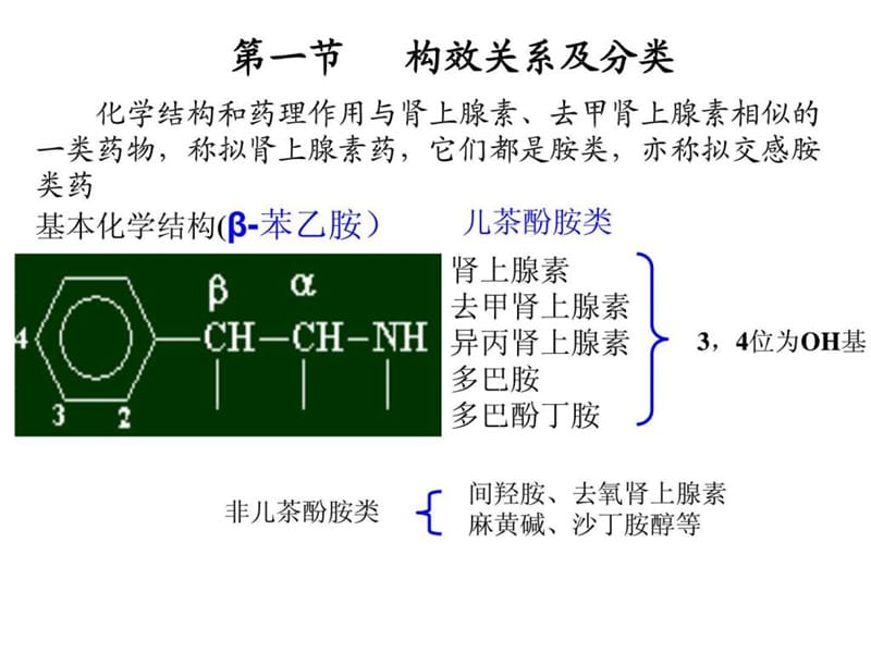 拟肾上腺素药.ppt.ppt_第2页