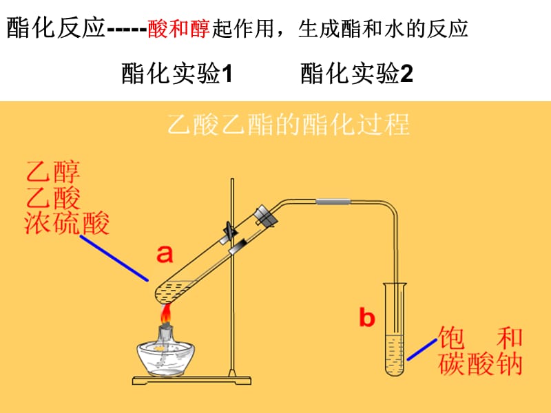 生活中两种常见的有机物第三课时—乙醇与乙酸的反应.ppt_第3页