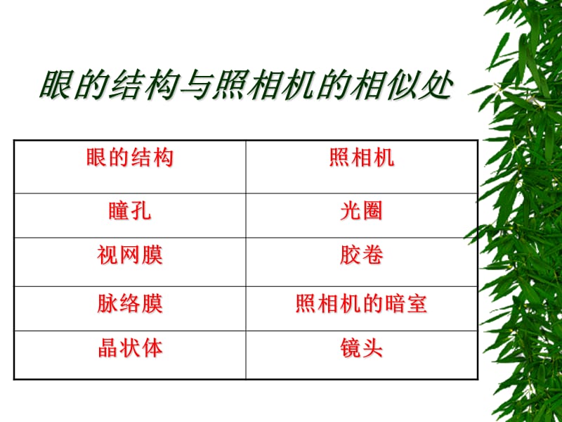 外界物体在视网膜上成像示意图.ppt_第3页