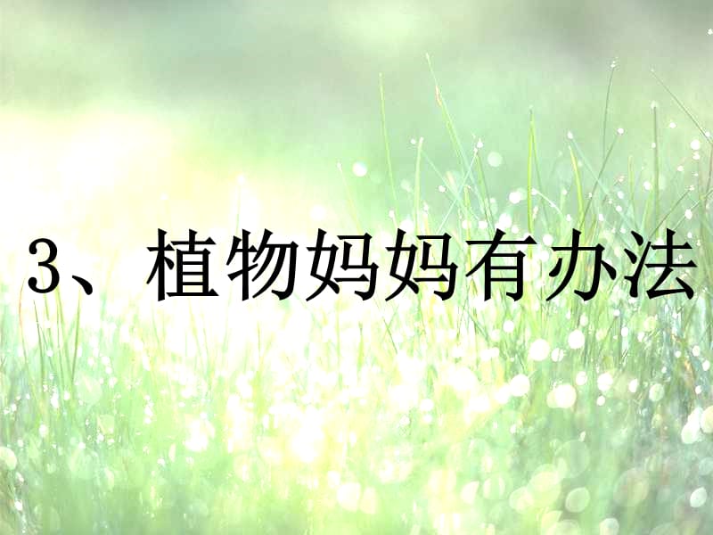 植物妈妈有办法教学课件.ppt_第1页