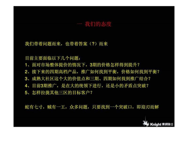 青铜骑士：理想0769项目广告推广方案.ppt_第2页