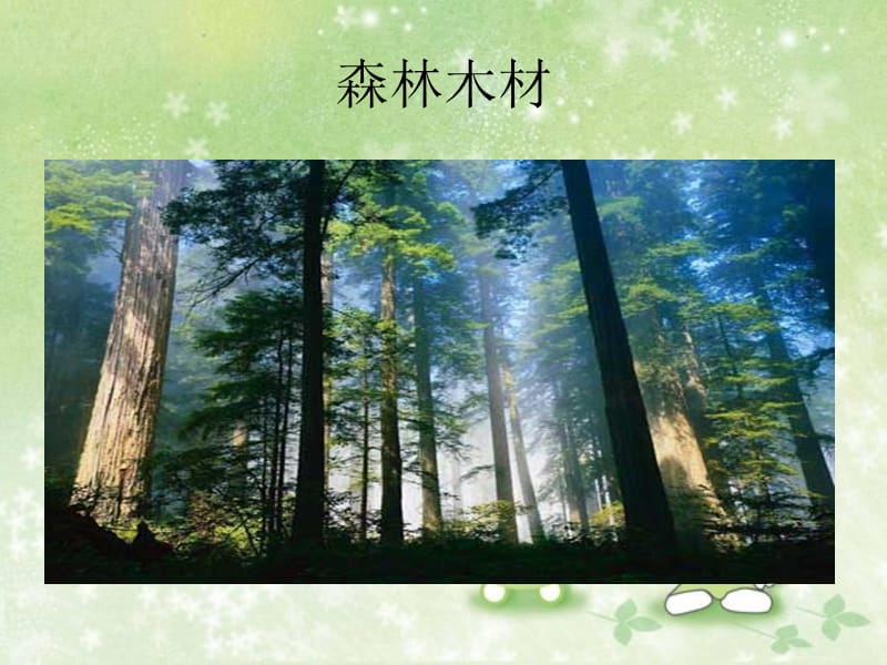 青岛版小学科学四年级上册《木材》课件.ppt_第2页