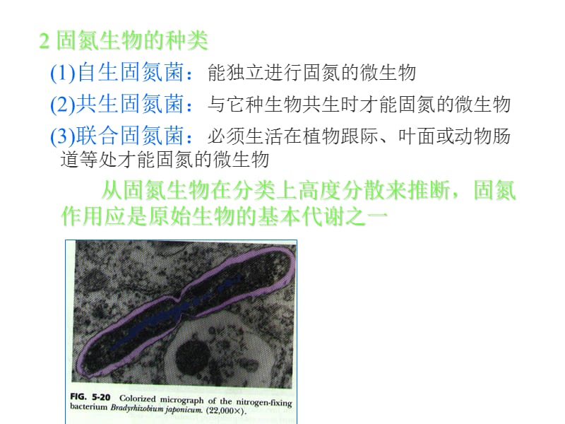 微生物的生长与控制 .ppt_第2页