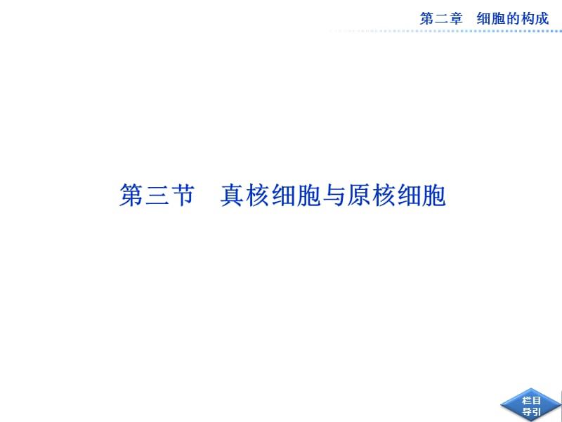 中图版真核细胞与原核细胞用.ppt_第1页