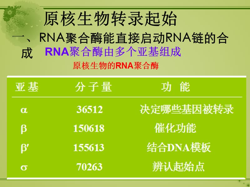 原核生物与真核生物转录起始调控的差异.ppt_第2页