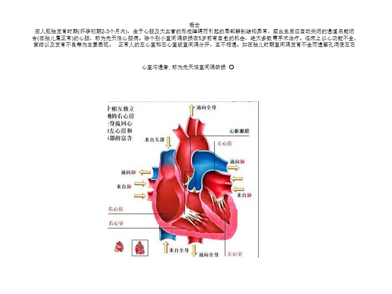 先天性心脏病.ppt_第1页