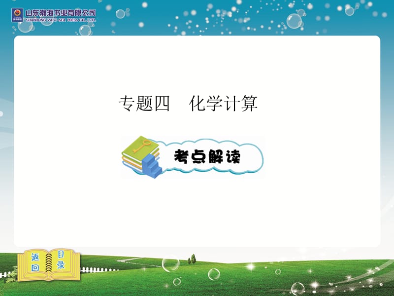 中考化学专题四化学计算.ppt_第1页