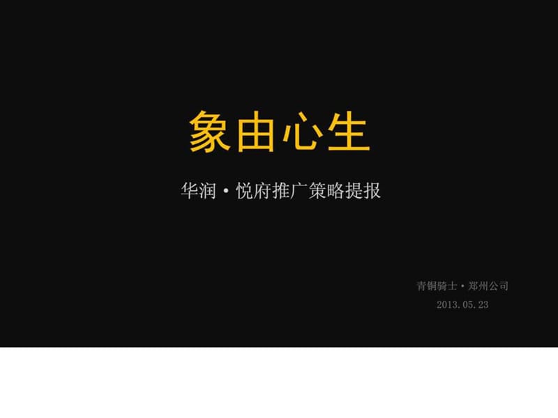 青铜骑士-华润悦府提案沟通2013.5.ppt.ppt_第2页