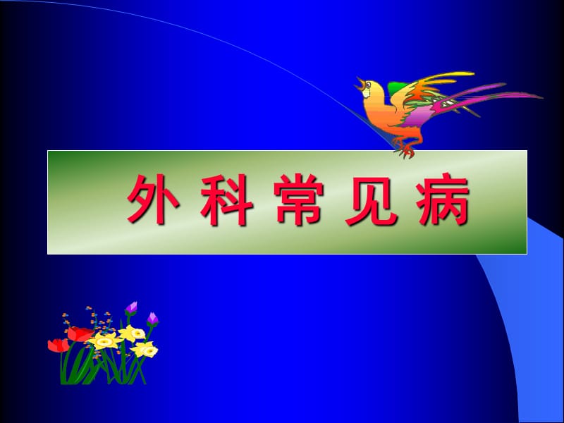 外科常见病.ppt_第1页