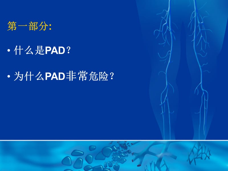 外周动脉疾病及其诊断方法.ppt_第2页