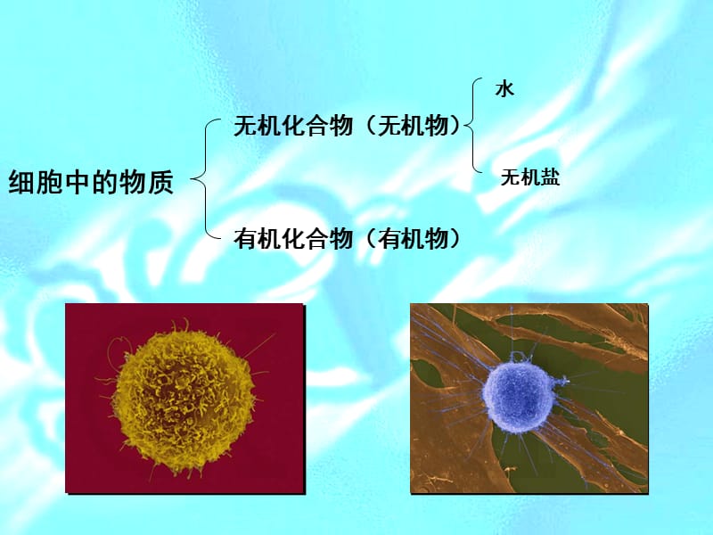 有机化合物及生物大分子.ppt_第2页