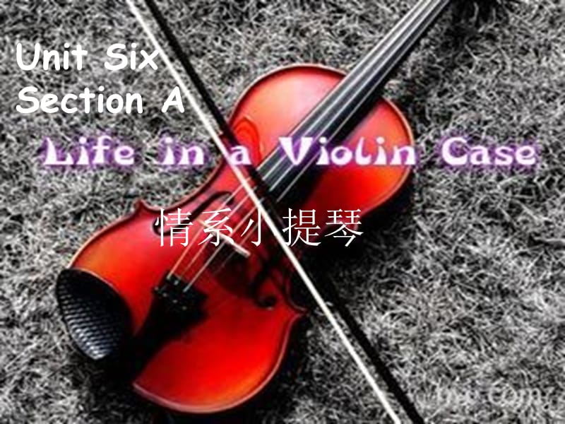 新视野英语教程第二册Unit6-ALifeinaViolinCase.ppt_第2页