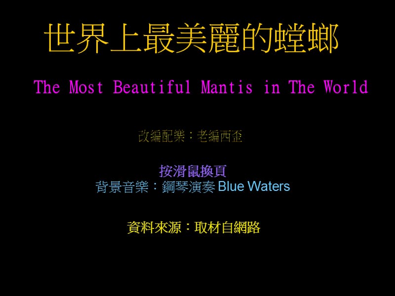 世界上最美丽的螳螂TheMostBeautifulMantisinTheWorld.pps_第1页