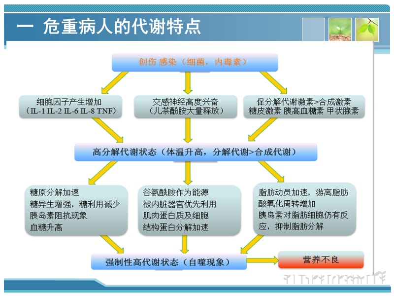 危重病人的代谢特点及营养评定.ppt_第3页