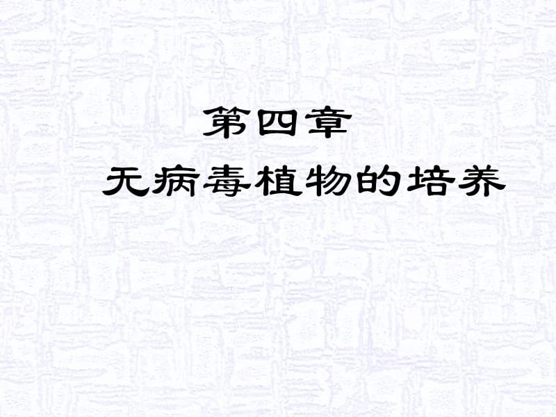 无病毒植物的培养.ppt_第1页