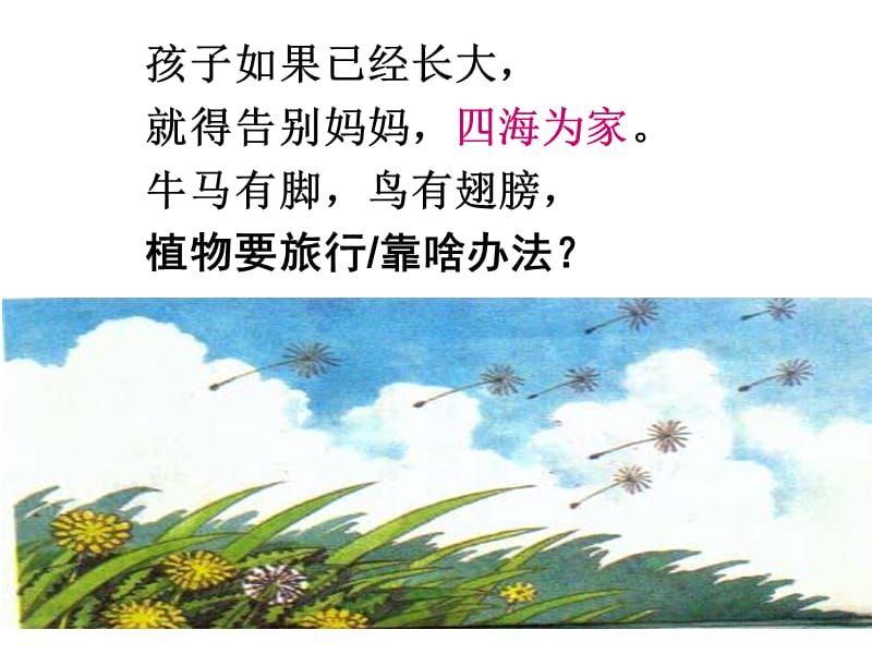 植物妈妈有办法修改后正式课件.ppt_第3页