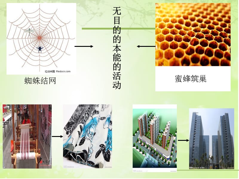 意识具有目的性和计划性.ppt_第3页