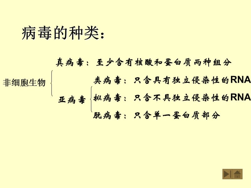 微生物病毒.ppt_第2页