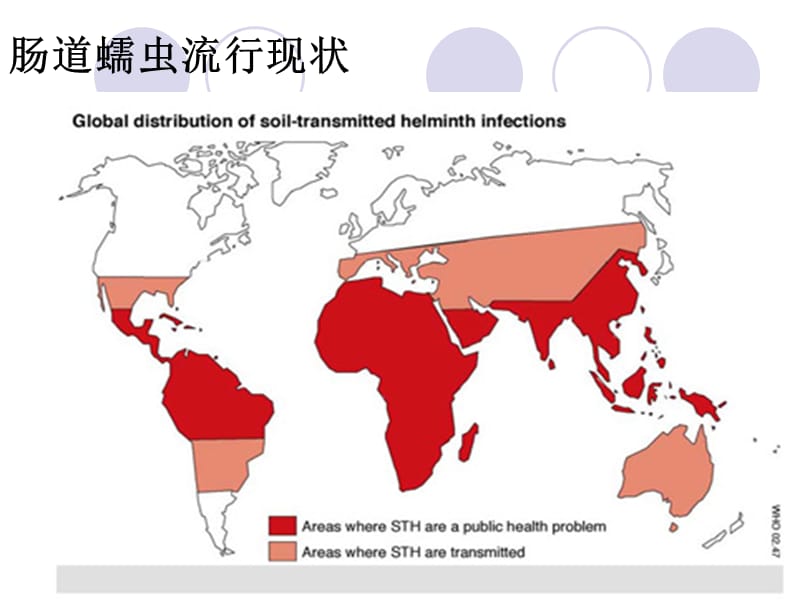 土源性线虫病.ppt_第2页