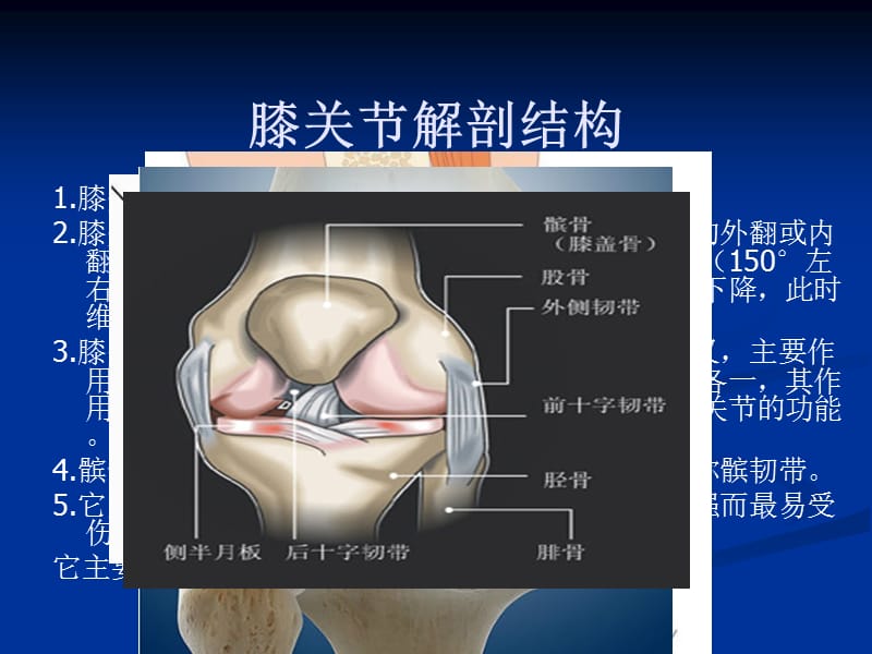 膝关节损伤-保健.ppt_第2页