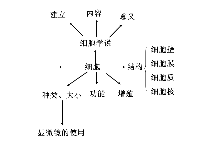 细胞9.18.ppt_第2页