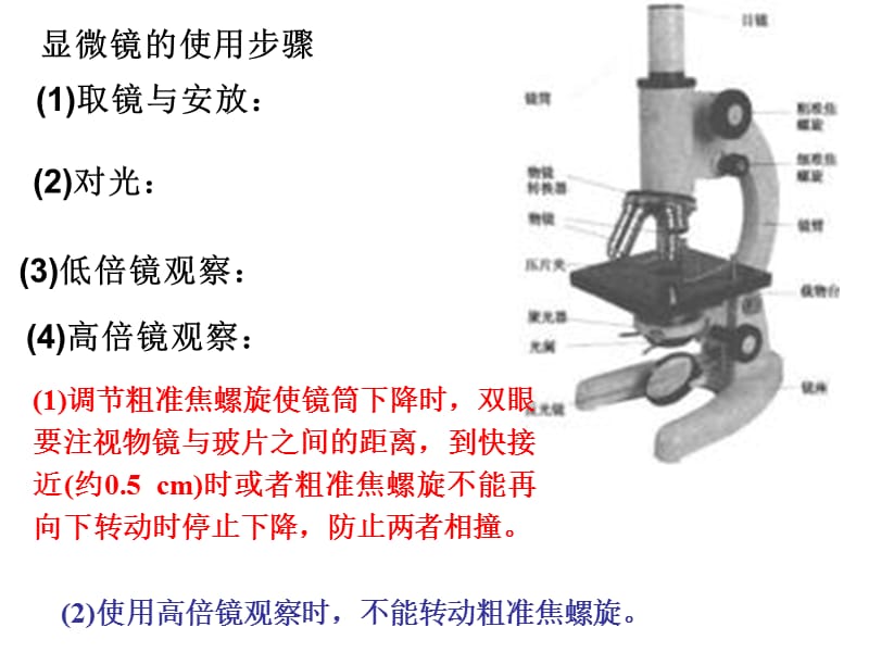 细胞9.18.ppt_第3页