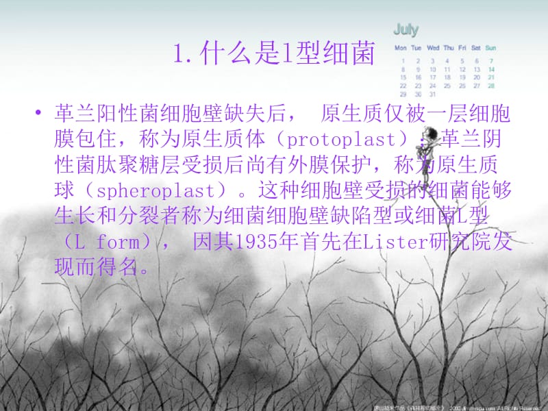 细菌l型的形成.ppt_第3页