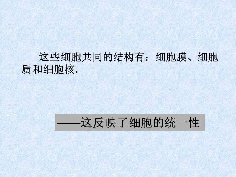 细胞的多样性和统一性讲课__课件.ppt_第3页