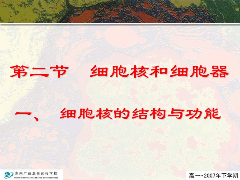 细胞核和细胞器(上课).ppt_第1页