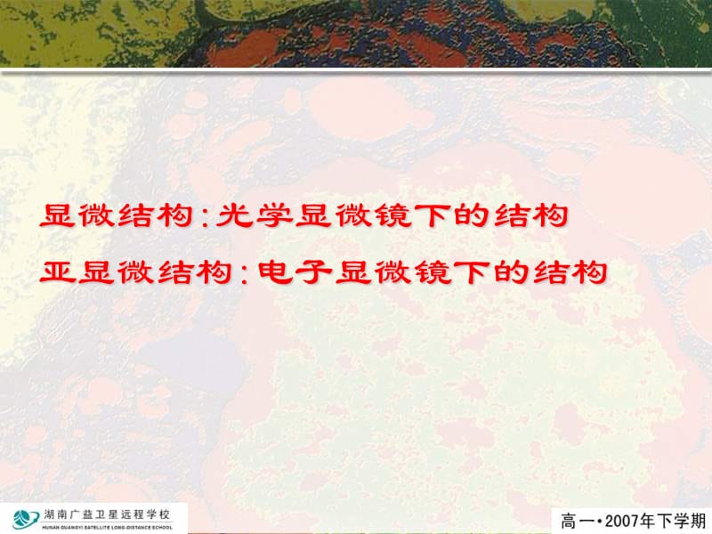 细胞核和细胞器(上课).ppt_第3页