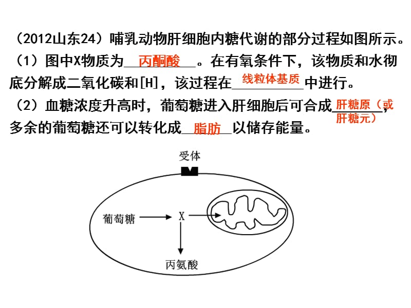 细胞膜的结构和功能.ppt_第2页