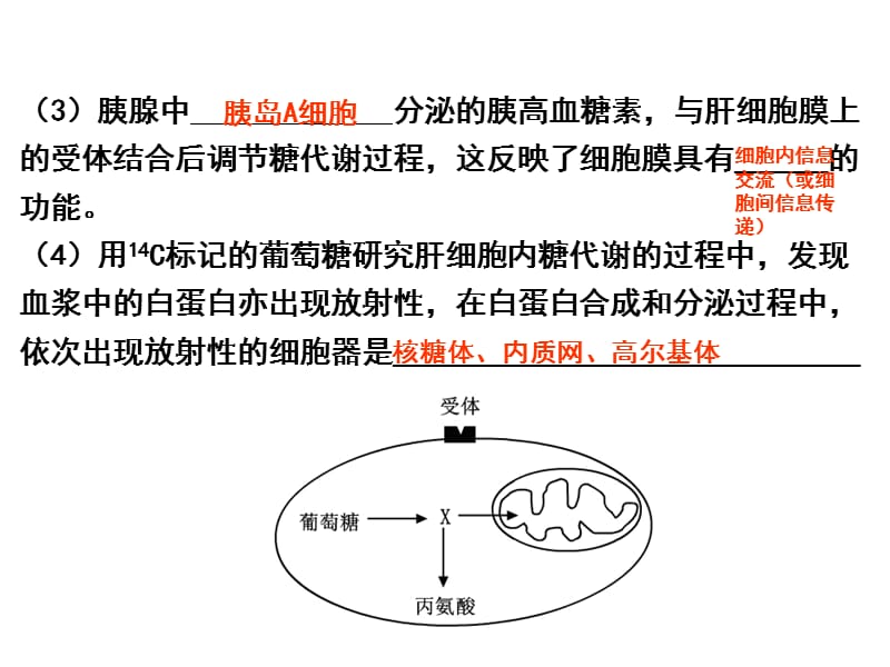 细胞膜的结构和功能.ppt_第3页