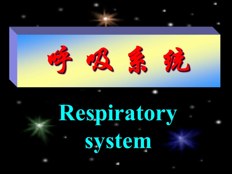 系解之呼吸系统.ppt_第1页