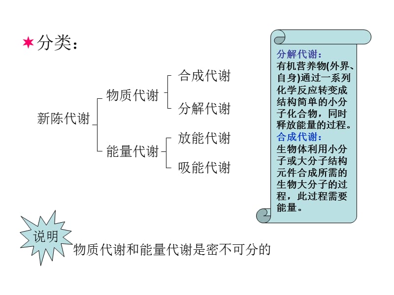 物质代谢与能量代谢的关系ee.ppt_第3页