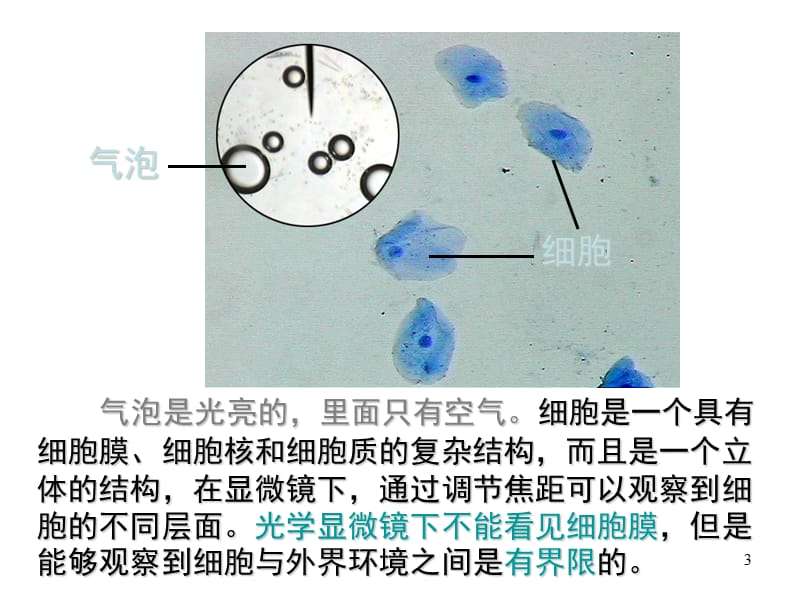 细胞膜----系统的边界 ZSC.ppt_第3页