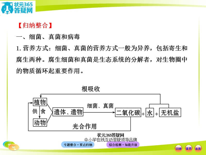 专题二 生物圈中的生物.ppt_第3页