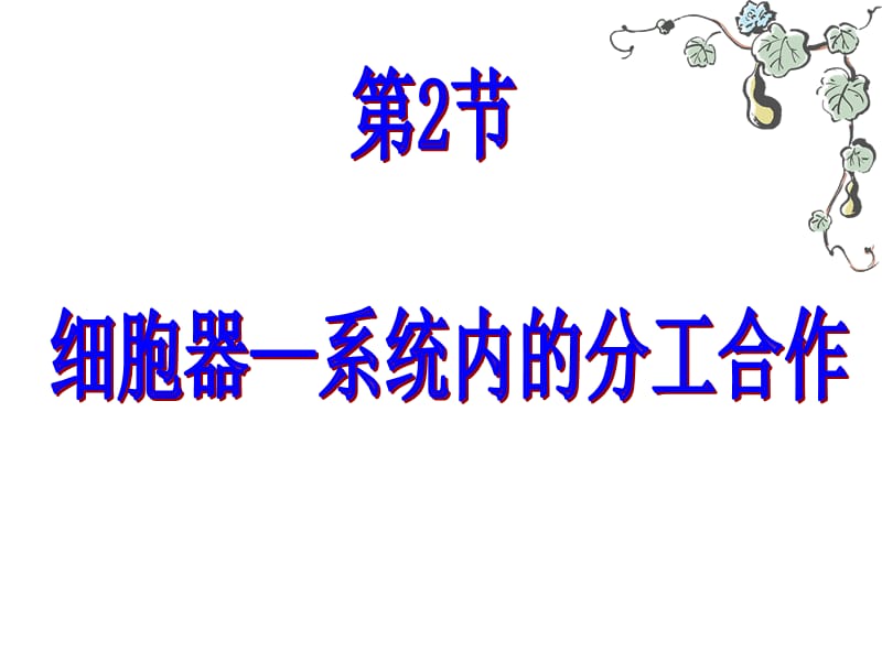 细胞器yong.ppt_第2页