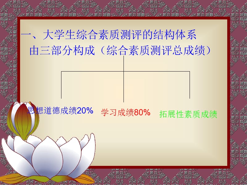 综合素质测评办法免费下载.ppt_第2页