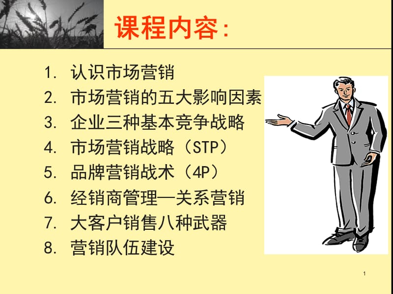 系统营销管理--核心内容.ppt_第2页